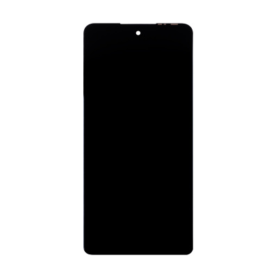 LCD-INX-NT-30-4G-CP-B