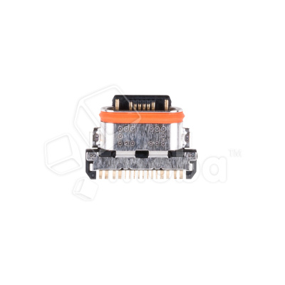 CC-TPC-VVO-Y31-2021_1