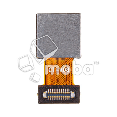 CAM-REAL-C11-2021-RR_1