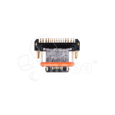 CC-TPC-VVO-Y31-2021